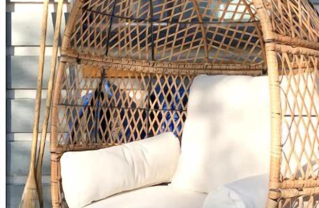 Parry Sound Bunkie - Dock, BBQ, Firepit & Pets