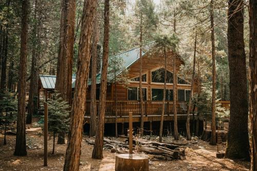 Peace of Mine - Cabin inside Yosemite - Dog Friendly