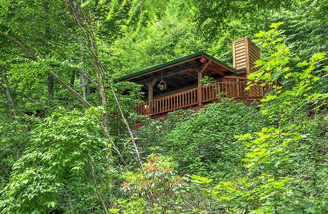 Peaceful and Relaxing Luxury Logs Cabin. Come Enjoy!