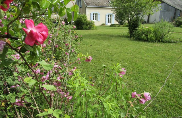 Peaceful cottage with garden in Touraine