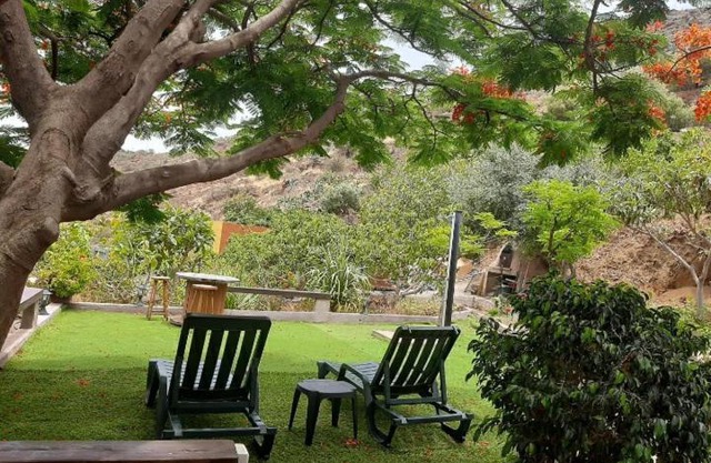 Peaceful house set on a vineyard & work friendly