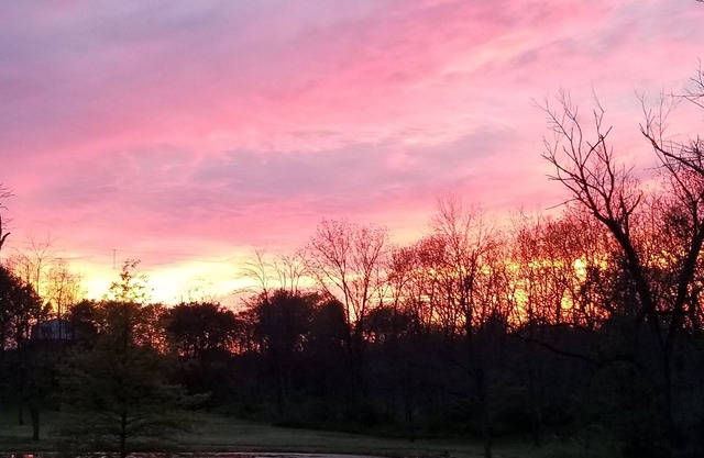 Peaceful, private guest suite with a hot tub!!