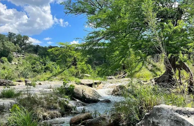 Peaceful River Retreat - Easy Access & Endless Fun - Blanco River Property