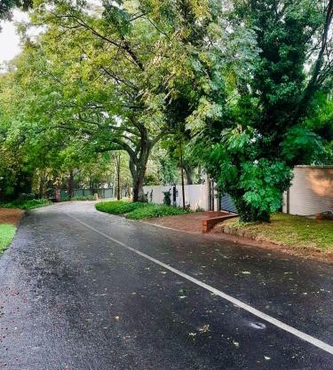 Peaceful Sandton Escape
