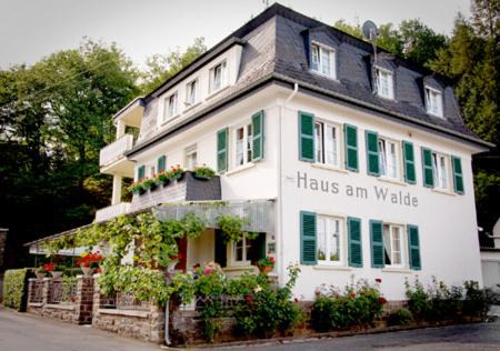 Pension "Haus am Walde" Brodenbach, Mosel