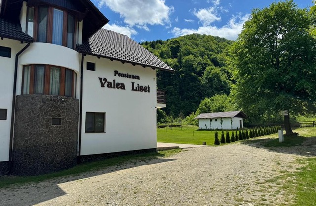 Pensiunea VALEA LISEI