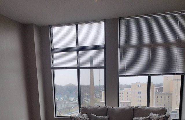 PENTHOUSE in the Delmar Loop area with amazing city views. Very family friendly.