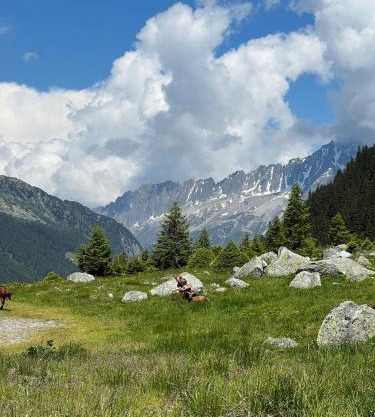 Penthouse with incredible view