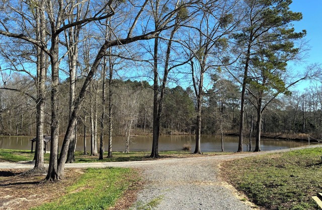 Perfect cabin with a pond! Peaceful place to fish, kayak or enjoy nature.