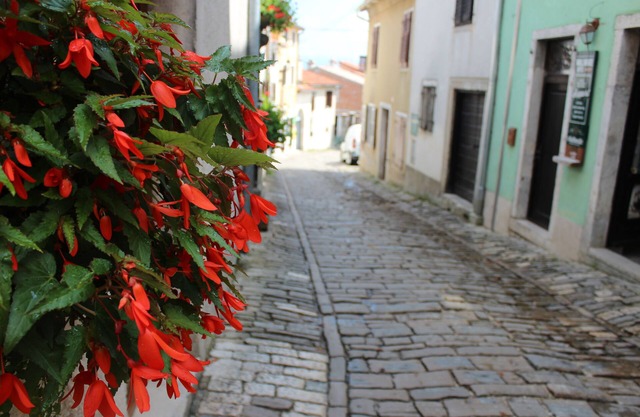 Perfect for couple/small family