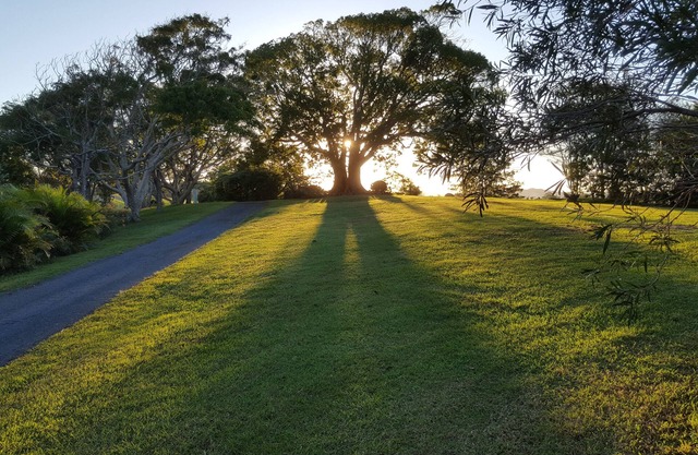 Pet Friendly - Adults Only, Tropical Coast Retreat, Kingscliff, Poolside Suite