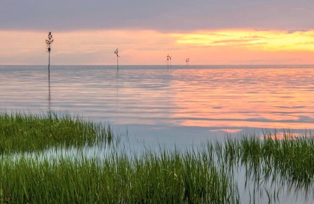 Pet Friendly, Close to Beaches, Golf, Dining, Shopping, Includes Linens(2396)