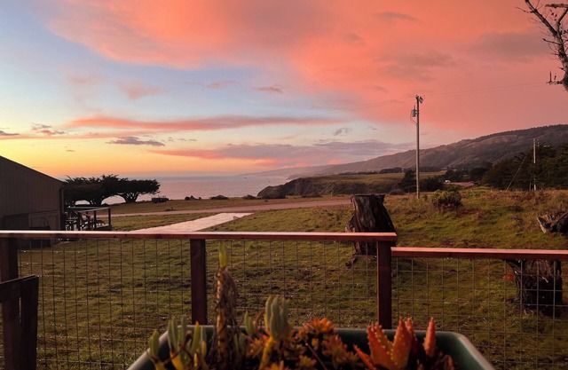 Pet Friendly, Irish Beach Getaway.