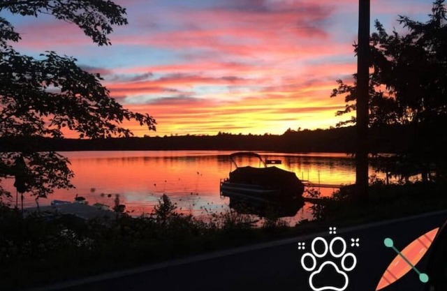 Pet Friendly Lakefront Cabinn
