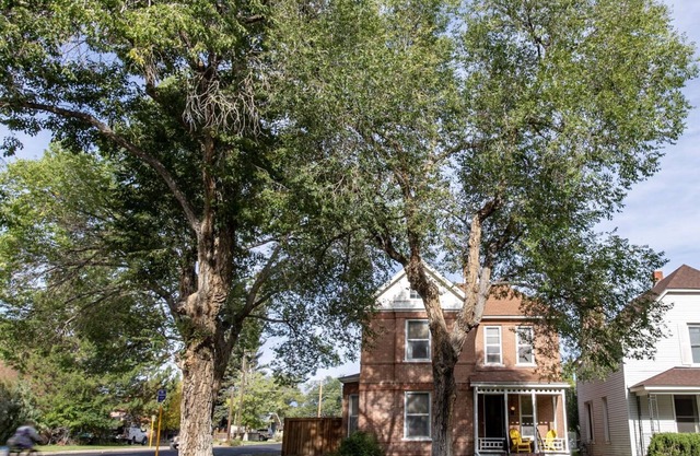 Pet Friendly-Parkside- Downtown Salida