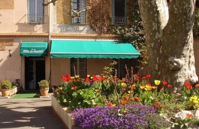 Pet-Friendly Room Close to Musée Gassendi