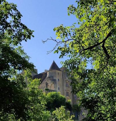 Petite maison en pierre au coeur du Périgord noir proche de Sarlat et Rocamadour