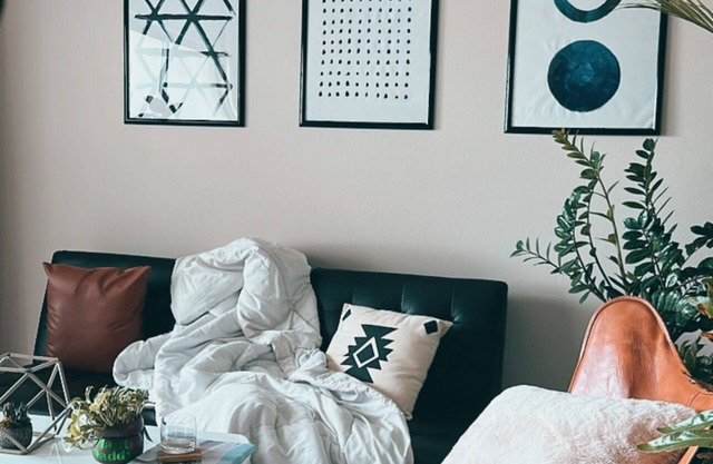 Plant Lover’s Bachelor Pad