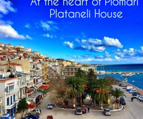Plataneli House Plomari Bookings less than 3 nights will not be accepted!