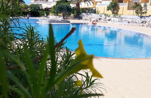 PLAYA DE LAS AMERICAS EL CAMISON