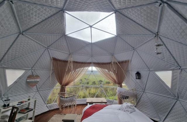 Pom Gratz - EcoDomes