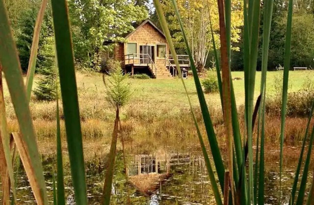 Pond Cottage. A roomy tiny home with a Pond