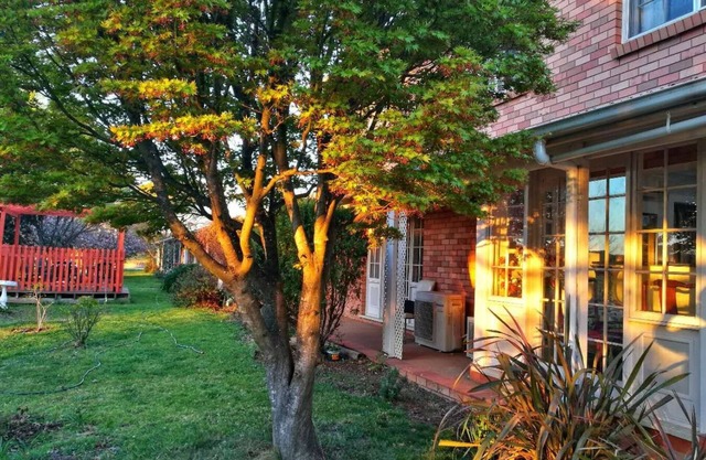 Poplars at Mittagong
