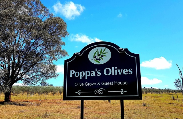 Poppa's Place @ Dalwood, Hunter Valley Vineyards Farmstay