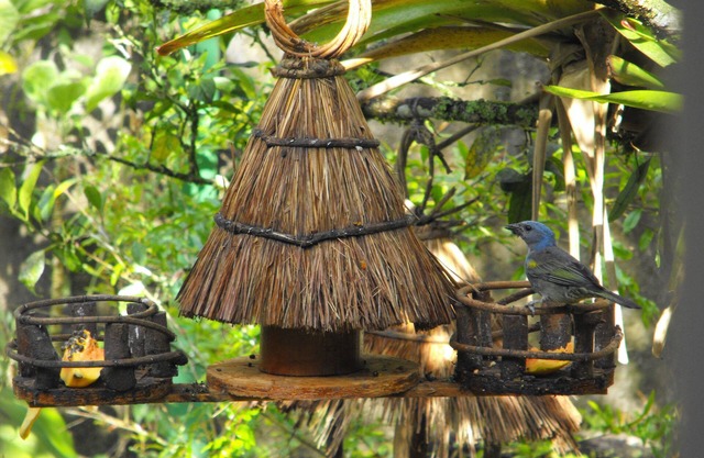 Pousada Cascata dos Amores