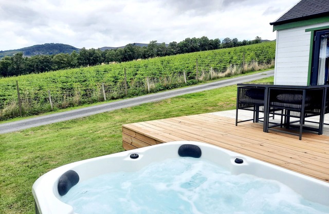 Premium Woodland Lodge with Hot Tub and Woodburner