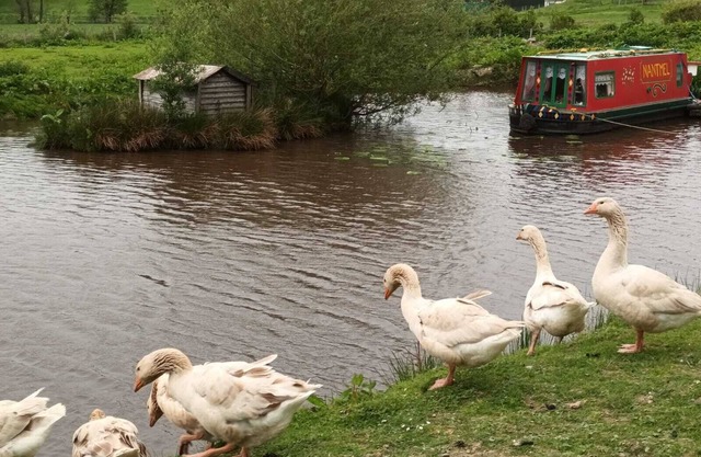 Pretty & Cosy Boat in Stunning Valley View, Wales