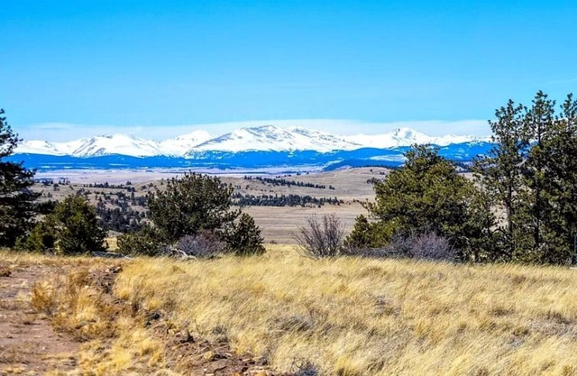 Primitive bring your own tent hammock or camper