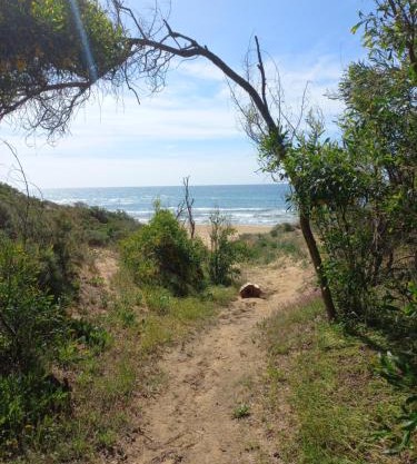 Principino, mare e cucina