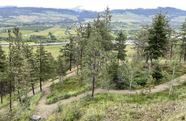 Privacy, Views and close to all adventures!