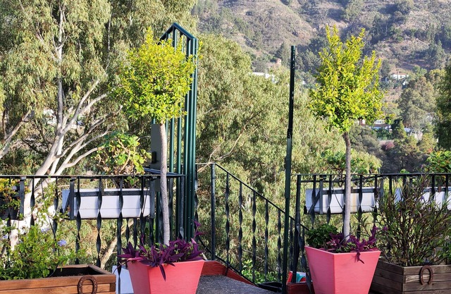 Private apartment in the countryside of Gran Canaria