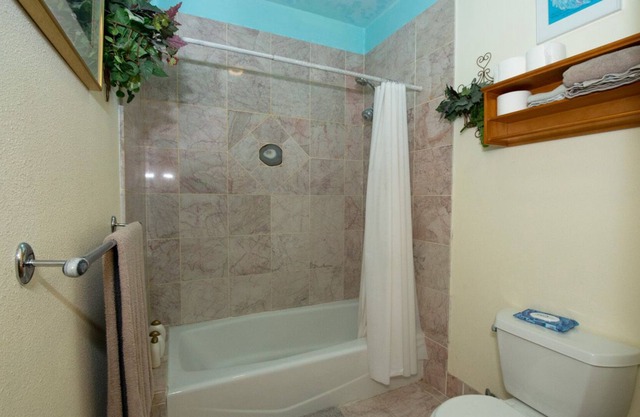 Private bedroom bath suite in large home, co-op kitchen Den Dog Ok