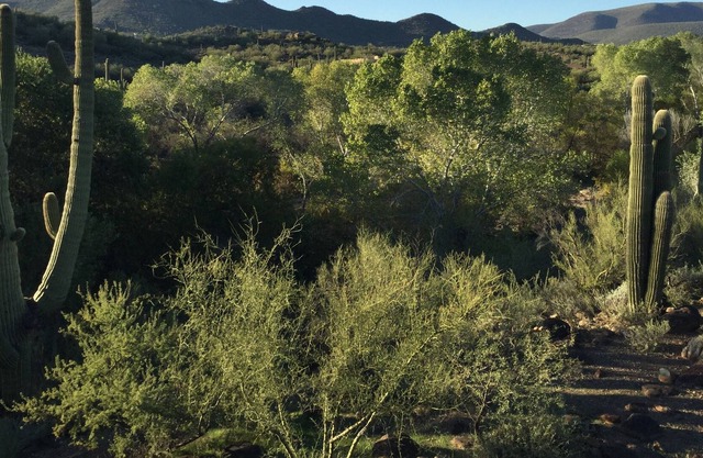 Private Casita in Cave Creek