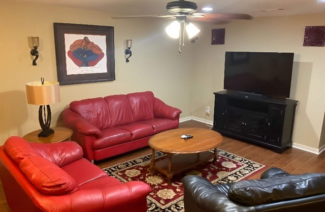 Private Luxury Basement