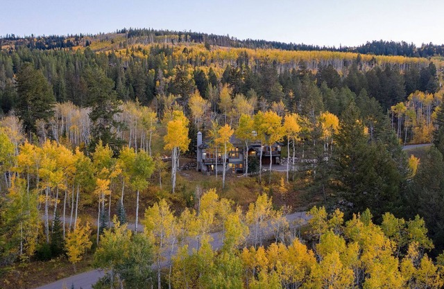 Private Parking w/ski Locker Beaver Creek Great Views, Family & Pet Friendly