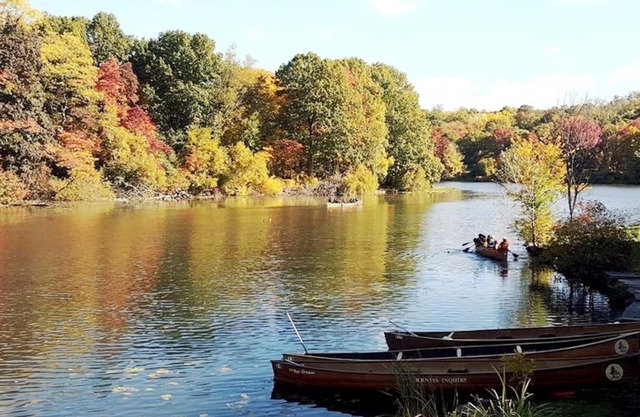 Private Rooms near Riverdale.