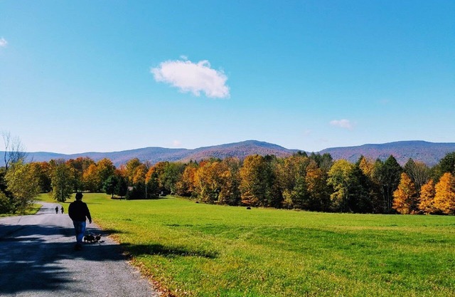 Private Waterfront on 6 Acres w/Swimming. Boats.Hot Tub.Fire Pit.Views. Hiking.