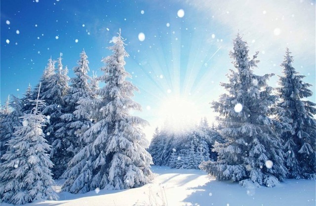 Property for Tornado Watchers!