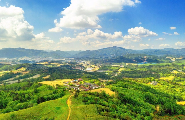 Pungcha & Herb Pension