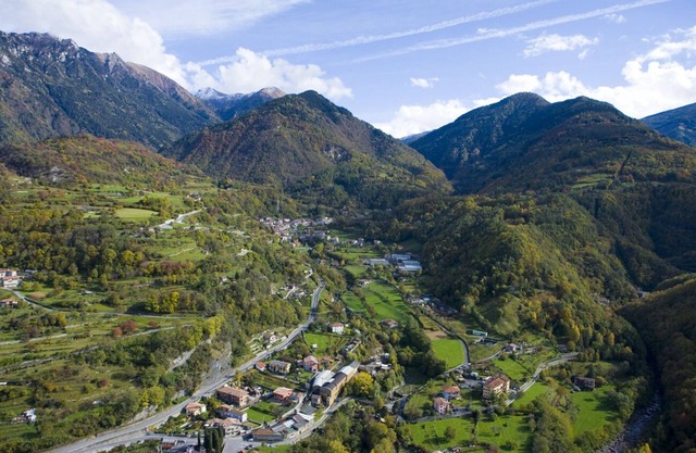 Quader Nidi nel Verde- Il Ciliegio