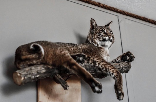 Quaint Motel Room near Blue Ribbon Fly Fishing on Missouri River