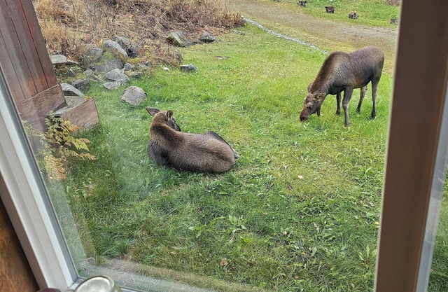 Quiet 3 bedroom house/cabin. 2 miles off Glenn hwn on Fish Lake Rd.