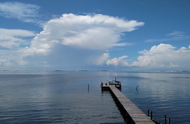 Quiet and cozy apartment on the sound