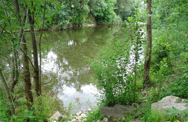 Quiet apartment with a huge garden on the riverside