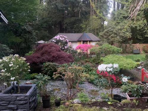 Quiet Backyard Cabin