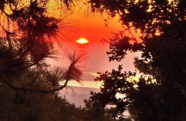 Quiet cabin in Idyllwild. Stunning Views, Cozy, Private, Pet and kid Friendly.